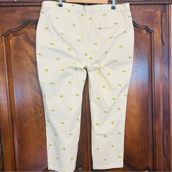 Talbots Pants Lemon Embroidered Relaxed Chino Ivory Cotton Plus Size 16W Petite - Picture 6 of 16